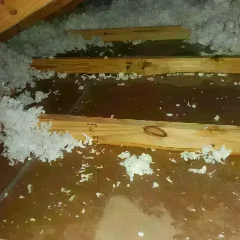 Attic Water Damage in Tiburon, CA